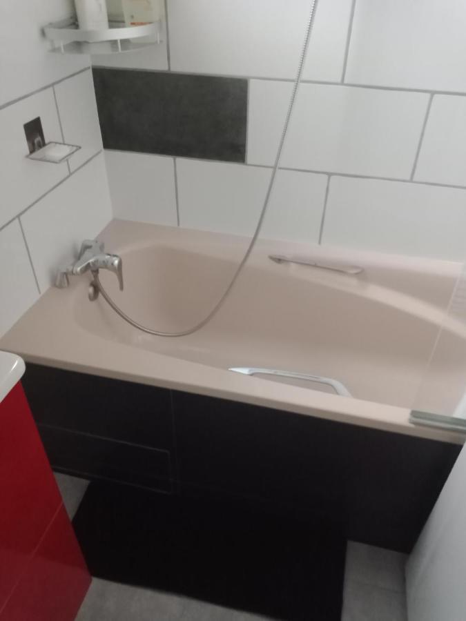Apartamento Superbe T3 de 85 mètres Carrés Toulouse Exterior foto